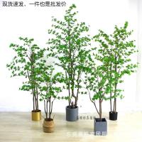 uploads/erp/collection/images/Home Garden/dgjiawang/XU0613098/img_b/XU0613098_img_b_1